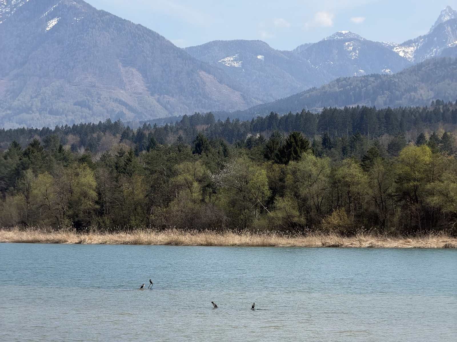 Gore v daljavi, gledane z višine