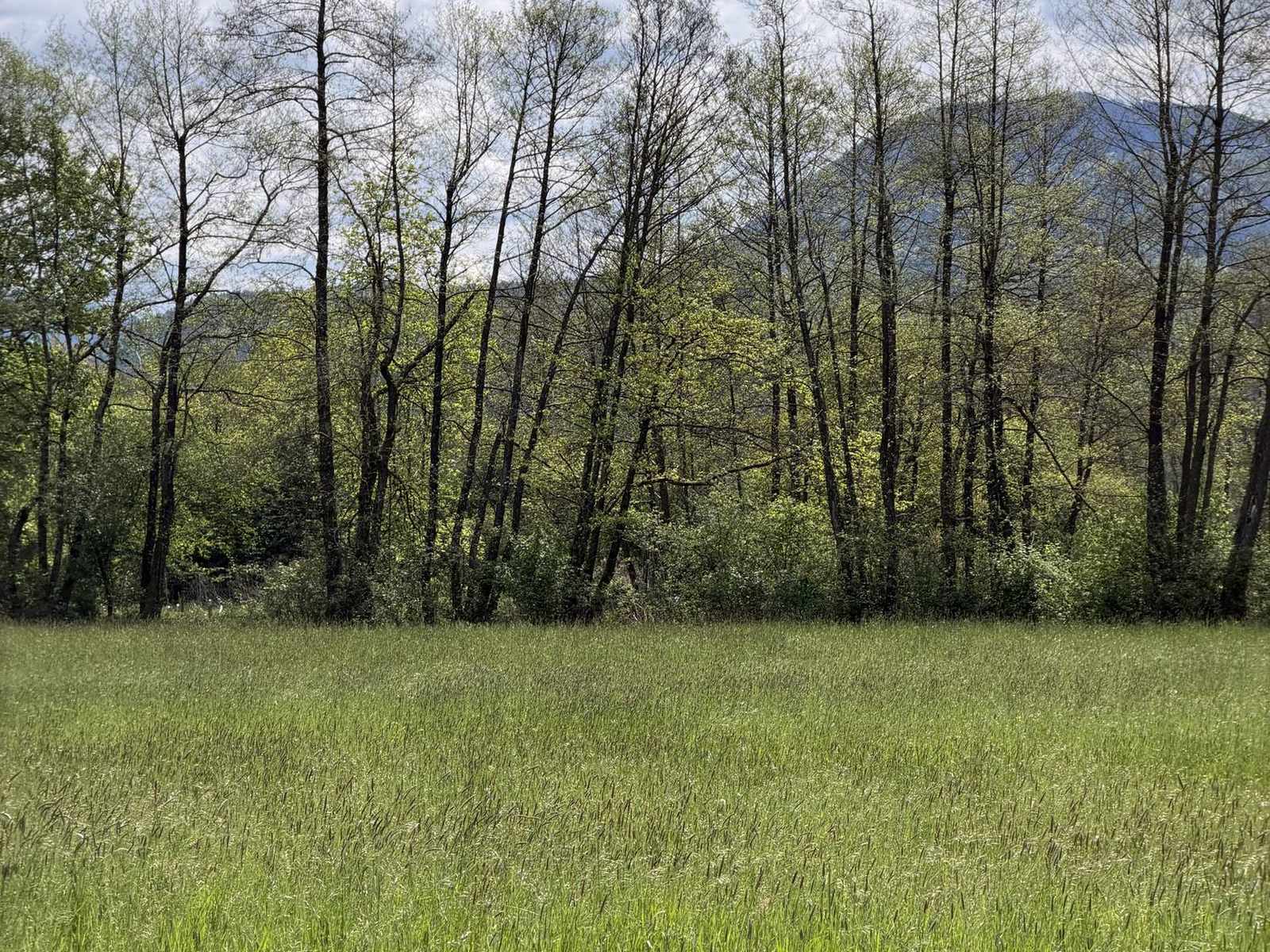 Bledo modro nebo nad razpotegnjenim gorskim grebenom
