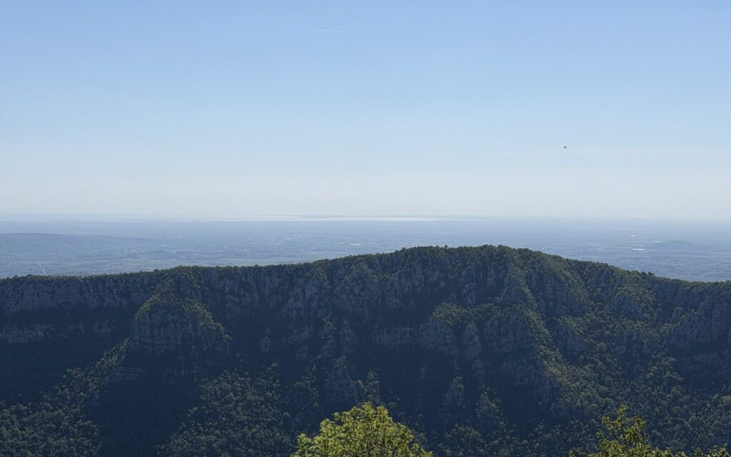 Temen gozdnat hrbet nad meglenim obzorjem