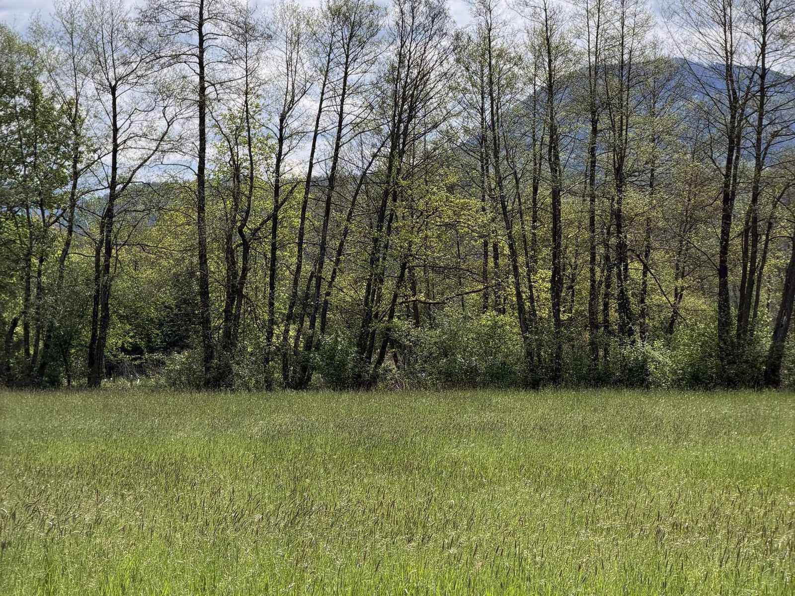 Bledo modro nebo nad razpotegnjenim gorskim grebenom