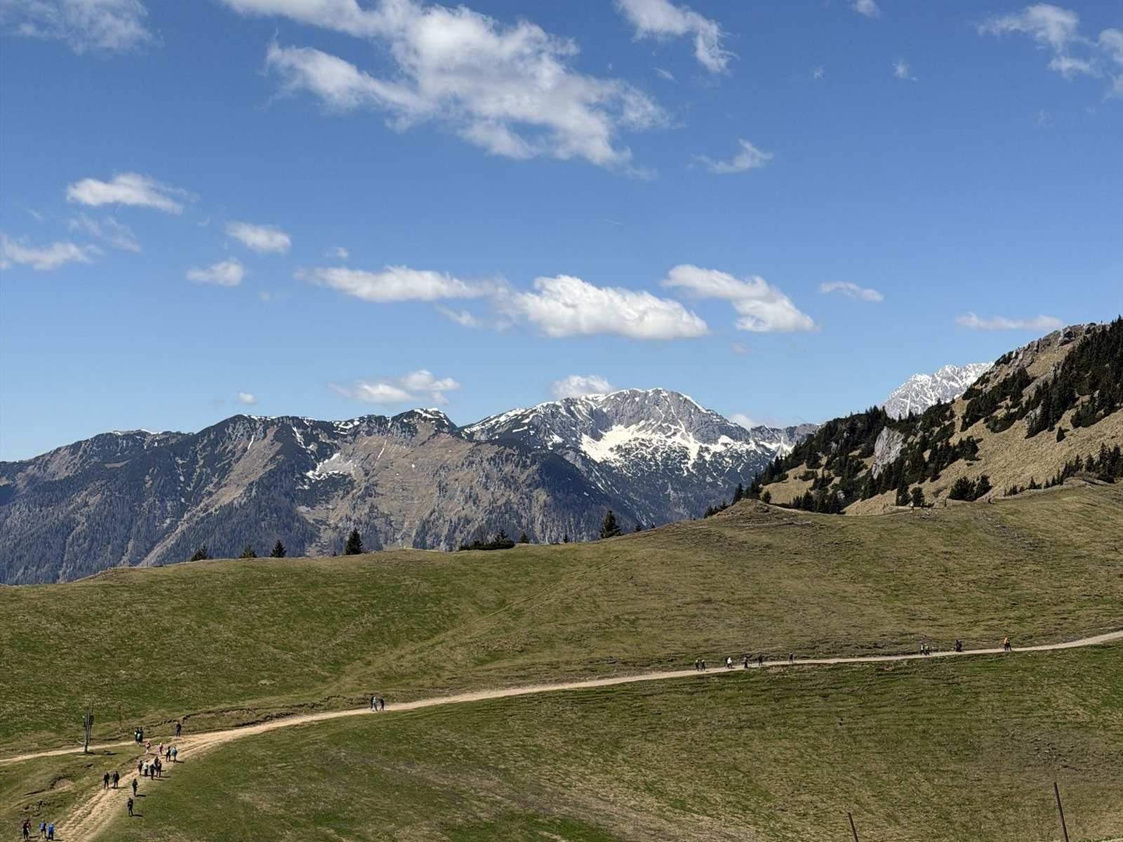 A path across a meadow towards a snowy ridge