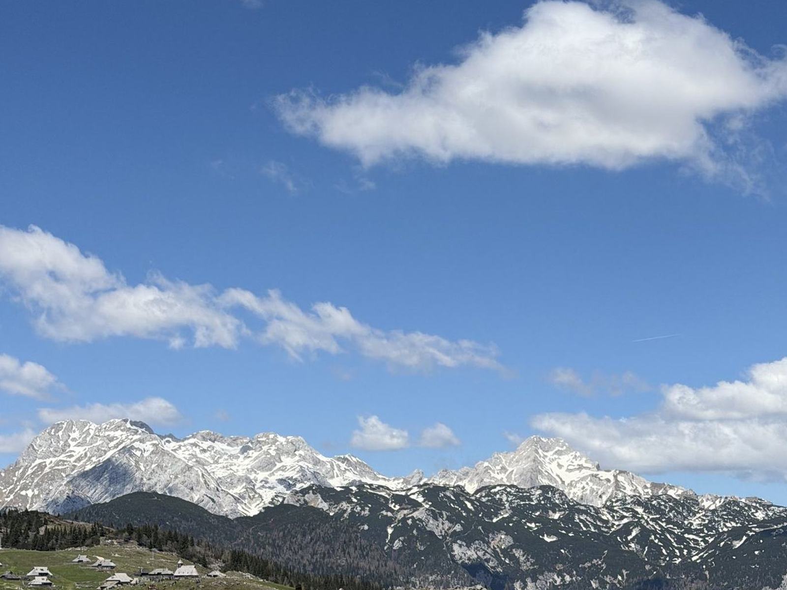 Zasneženi vrhovi nad pašnikom pod belimi oblaki