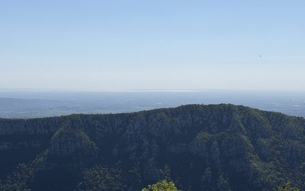 Temen gozdnat hrbet nad meglenim obzorjem