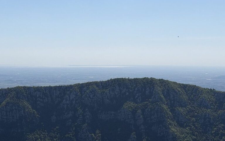 Temen gozdnat hrbet nad meglenim obzorjem